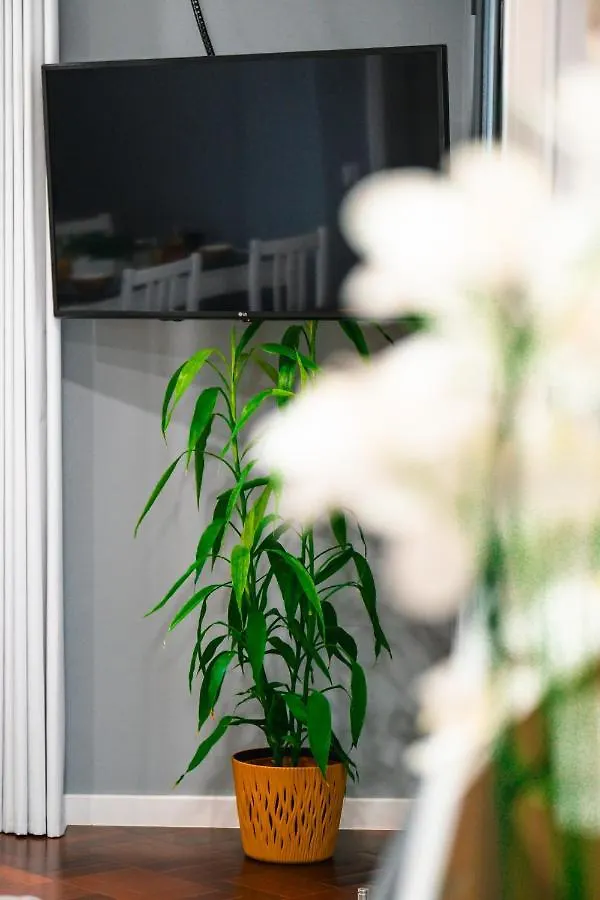Rose House By Atlantic Holiday Machico  Appartement Machico (Madeira)